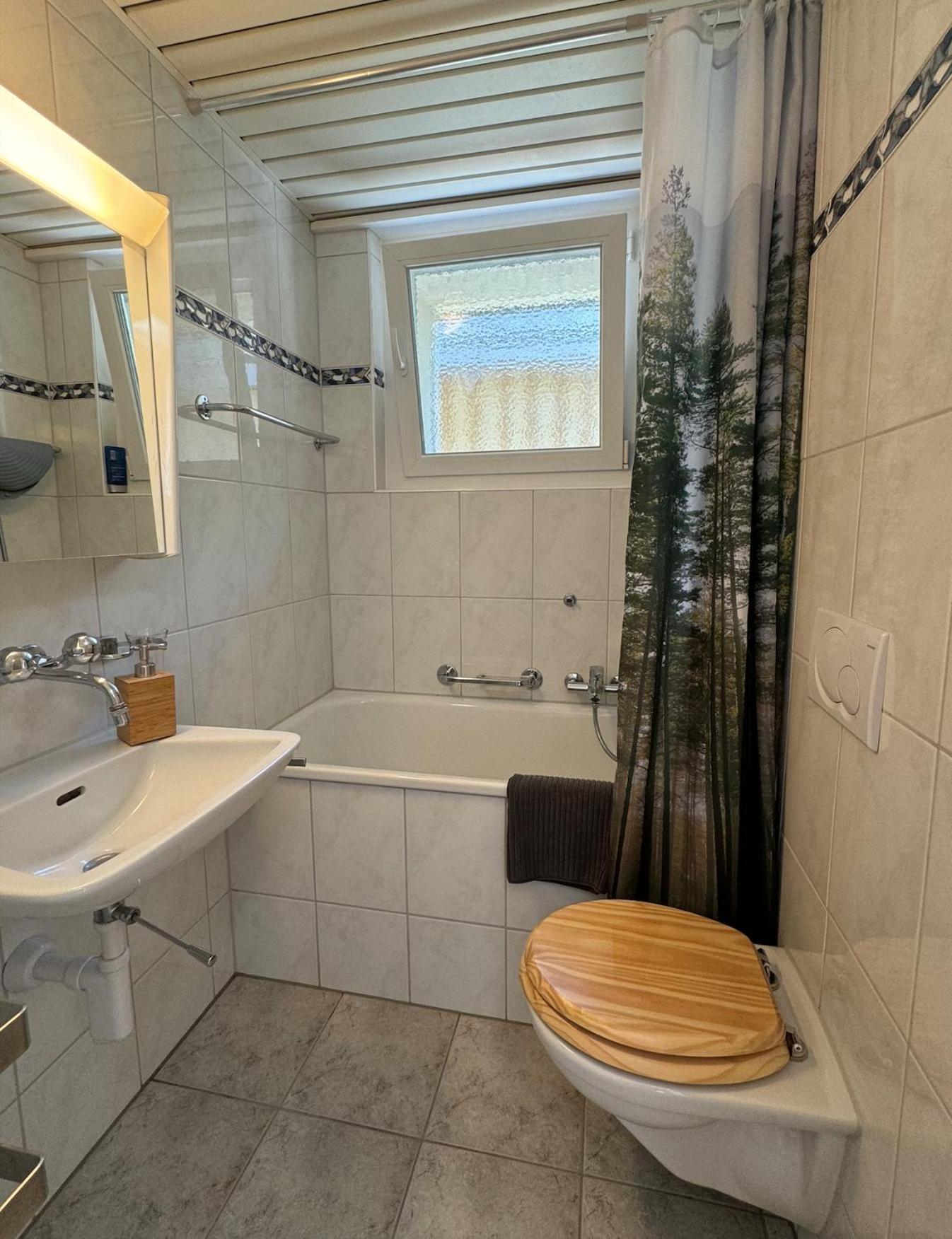 Alpine Haus Apartment Goschenen Ngoại thất bức ảnh